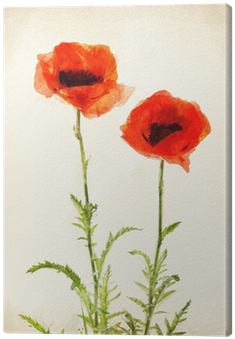 Mak Akwarela (400x400), Png Download