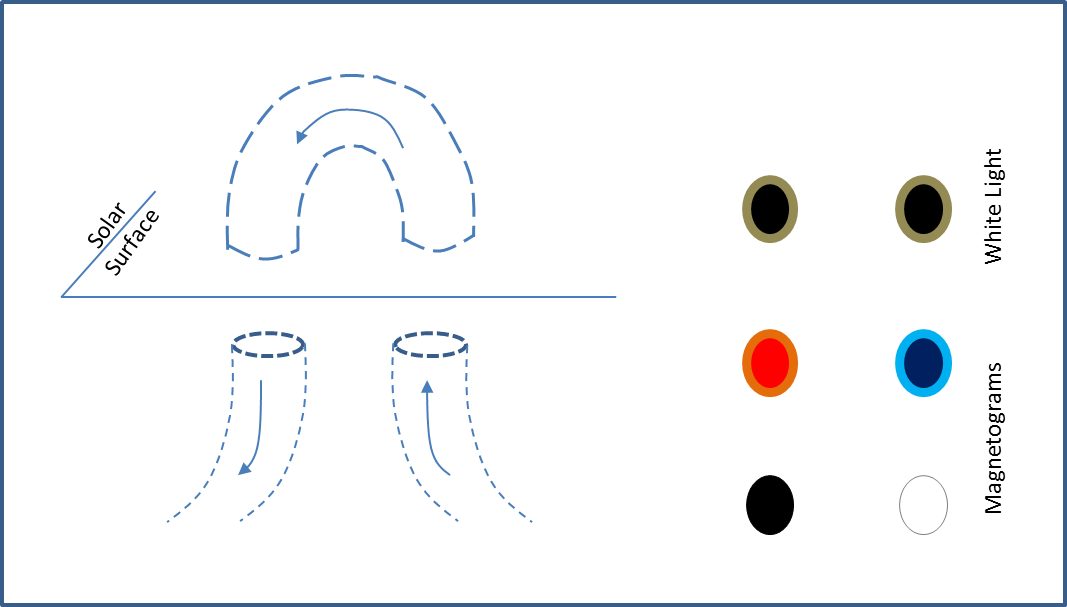 Solar Flares On The Other Hand Find Their Origin In - Magnetic Flux Tube Sunspot (1067x607), Png Download