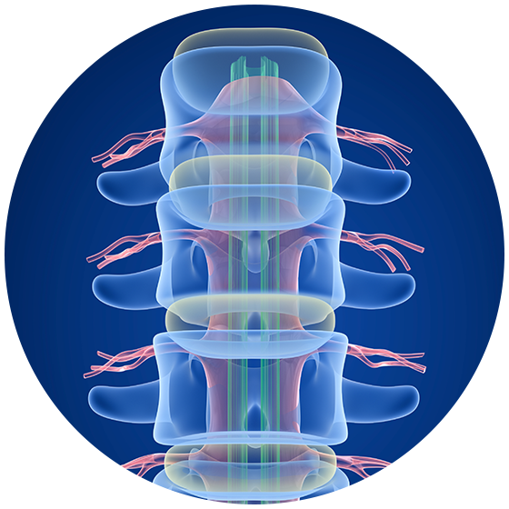 Real Patients - Human (560x560), Png Download