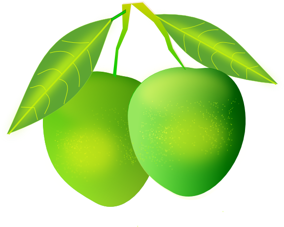 How To Set Use Mango Clipart (600x481), Png Download
