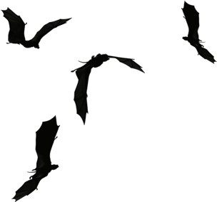 Stock - Dragon Silhouette Tattoo (525x439), Png Download