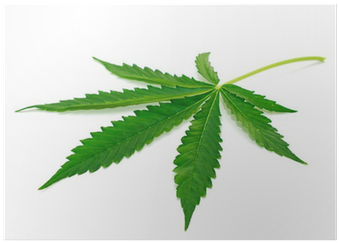 Cannabis (400x400), Png Download