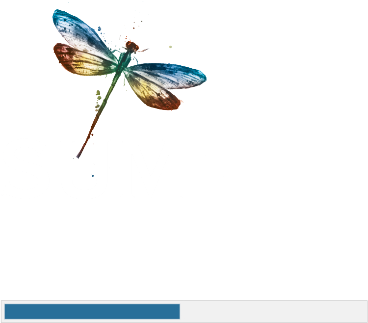 Summer Loading Logo - Delphinsommer Dvd (830x760), Png Download
