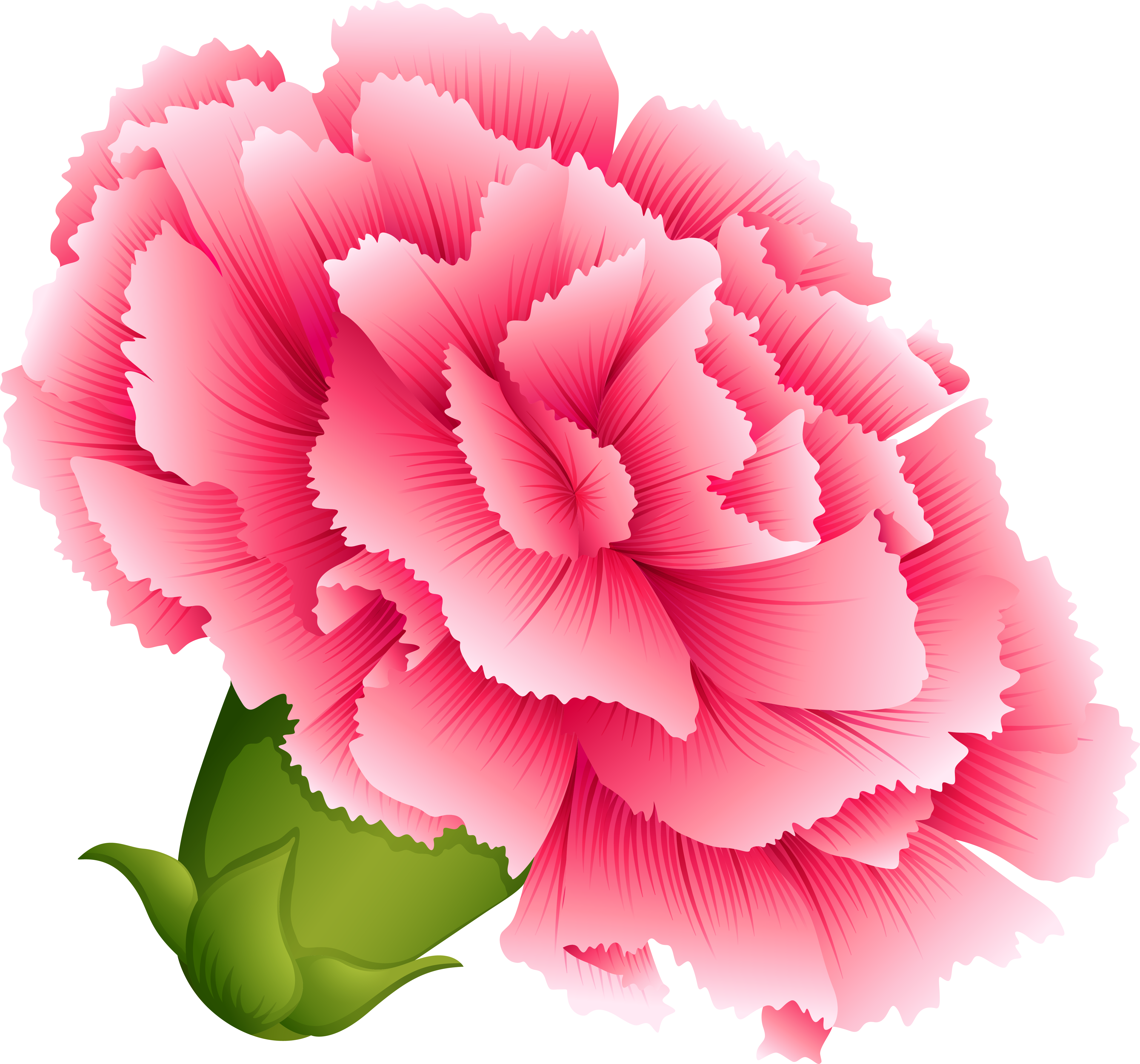 Png Royalty Free Download Png Clipart Image Art Quilts - Carnation Clip Art (5282x4862), Png Download