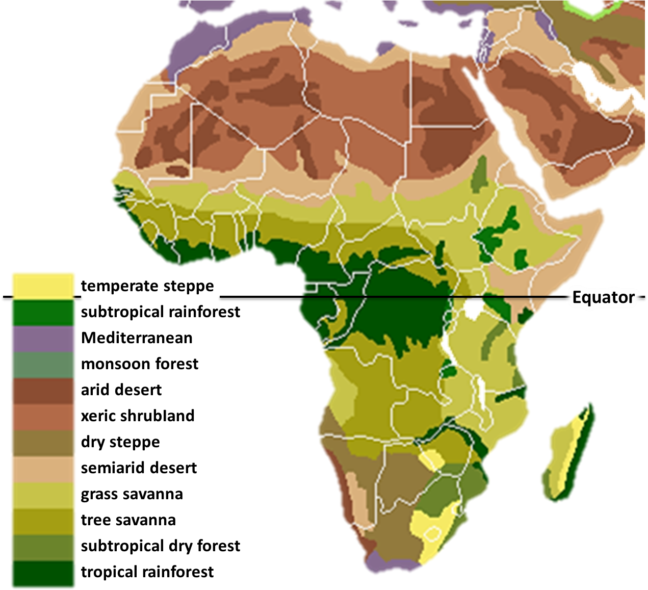 Vegetation Africa - Biomes Of Africa Map (1295x1165), Png Download