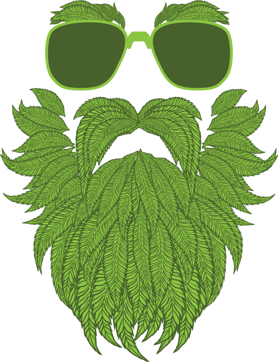 Origens Cannabis - Daddy Fat Sacks Weed (555x721), Png Download
