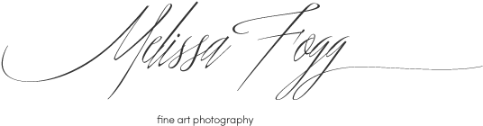 Calligraphy (599x219), Png Download