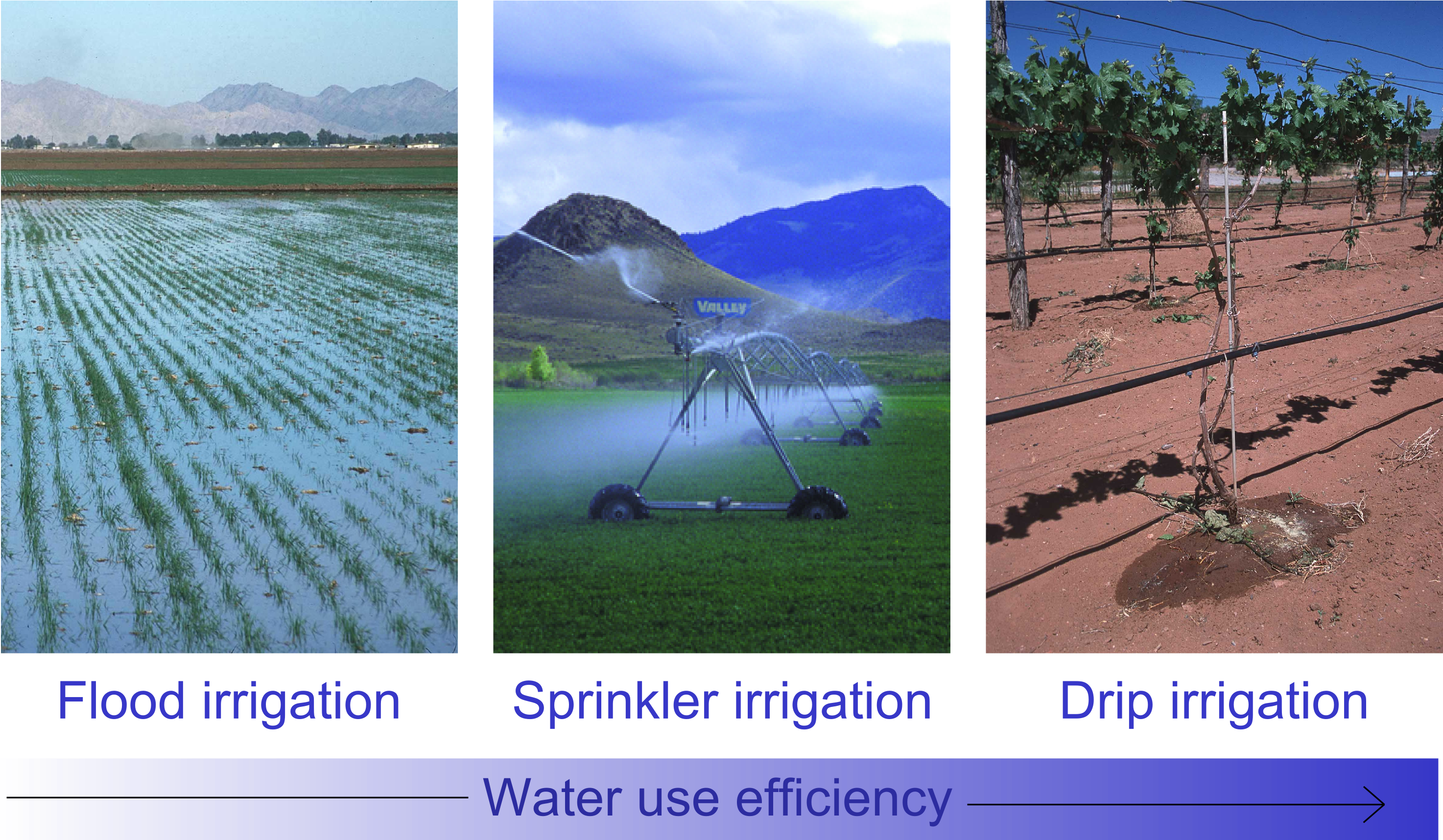 How Can We Save Water - Mark Olson (2953x1715), Png Download