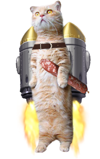 Standing Cat Png - Tale Of Mrs. Tiggy-winkle [book] (400x527), Png Download