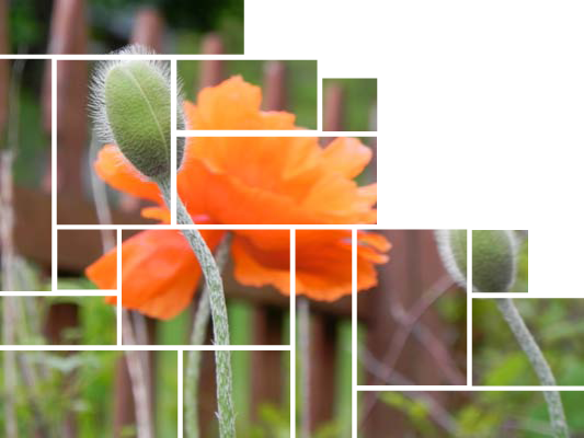 Image Inside Compound Path Frame - Single Photo Multiple Frames (533x400), Png Download