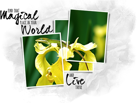 As You Can See, This Technique Can Be Used In A Variety - Photograph (540x360), Png Download