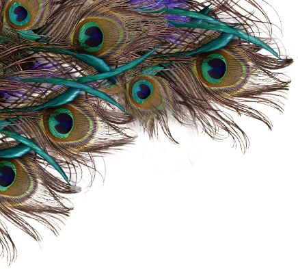 Feather Peacock Png, Peacock Feather Background Png - Happy Krishna Janmashtami Quotes (436x393), Png Download