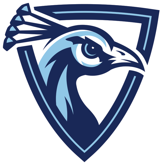 Amanda - Upper Iowa University Lacrosse (667x679), Png Download