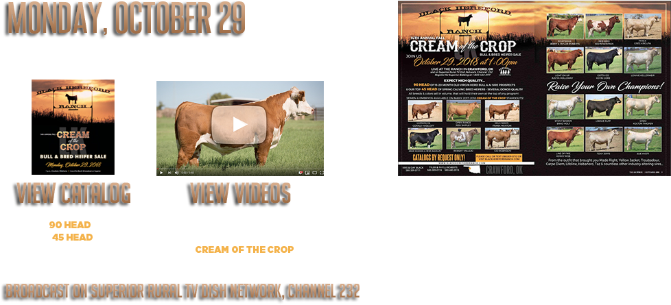 Black Hereford Ranch (1085x508), Png Download