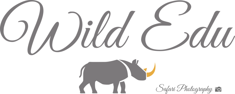 Wild Edu - Marmont Hill 'welcome Wild' Painting Print On Wrapped (960x383), Png Download