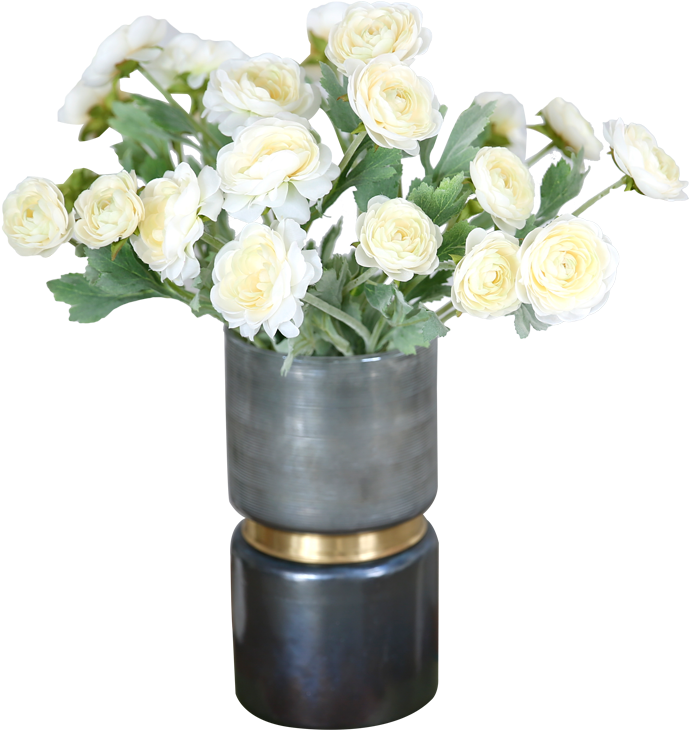 Lightbox Moreview - Garden Roses (800x800), Png Download