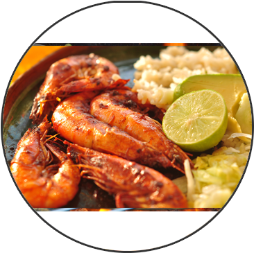 Veg Food - Halogen Oven Mexican Cookbook [book] (400x400), Png Download