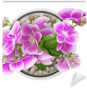 Top View Of Purple Orchid Flower In Glass Vase Isolated - Flower Top View Png (400x400), Png Download