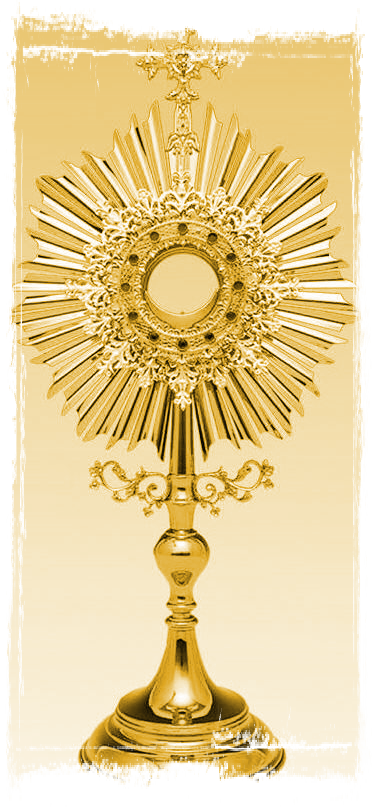 Francis Assisi - My Catholic Faith Picture Book A-z [book] (372x807), Png Download