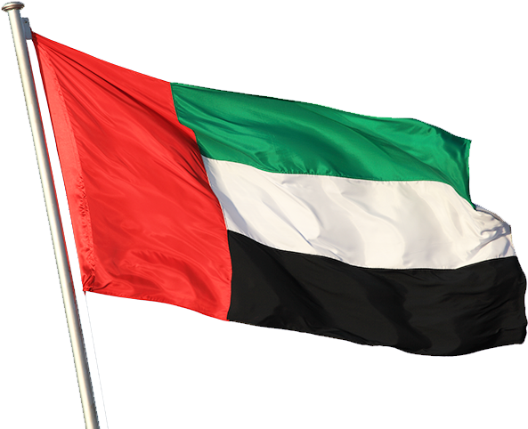 Ae] Uae Flag Png (647x517), Png Download