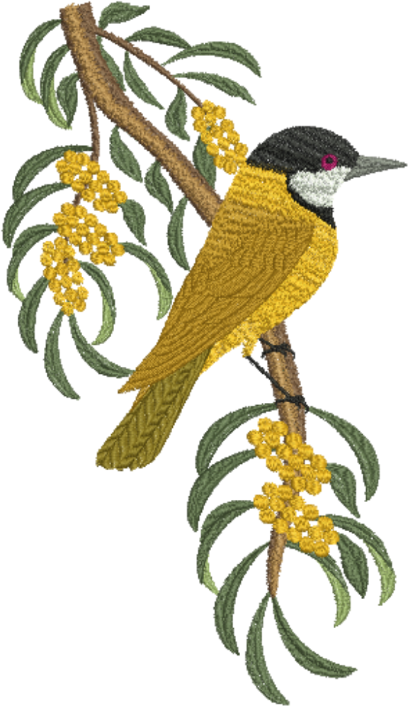 Golden Whistler - 3 - 99 - Machine Embroidery Design (1000x1000), Png Download