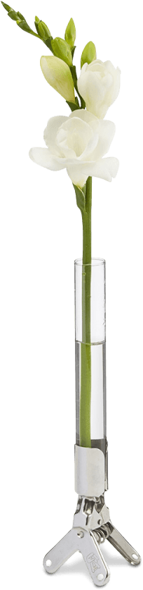 Flower Vase Clip Merci Png Flower Base - Long Flower Vase Transparent (1000x1000), Png Download