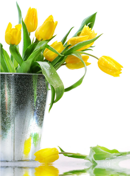 Le Jaune À Rungis - Yellow Tulip Flower Bouquets (533x800), Png Download