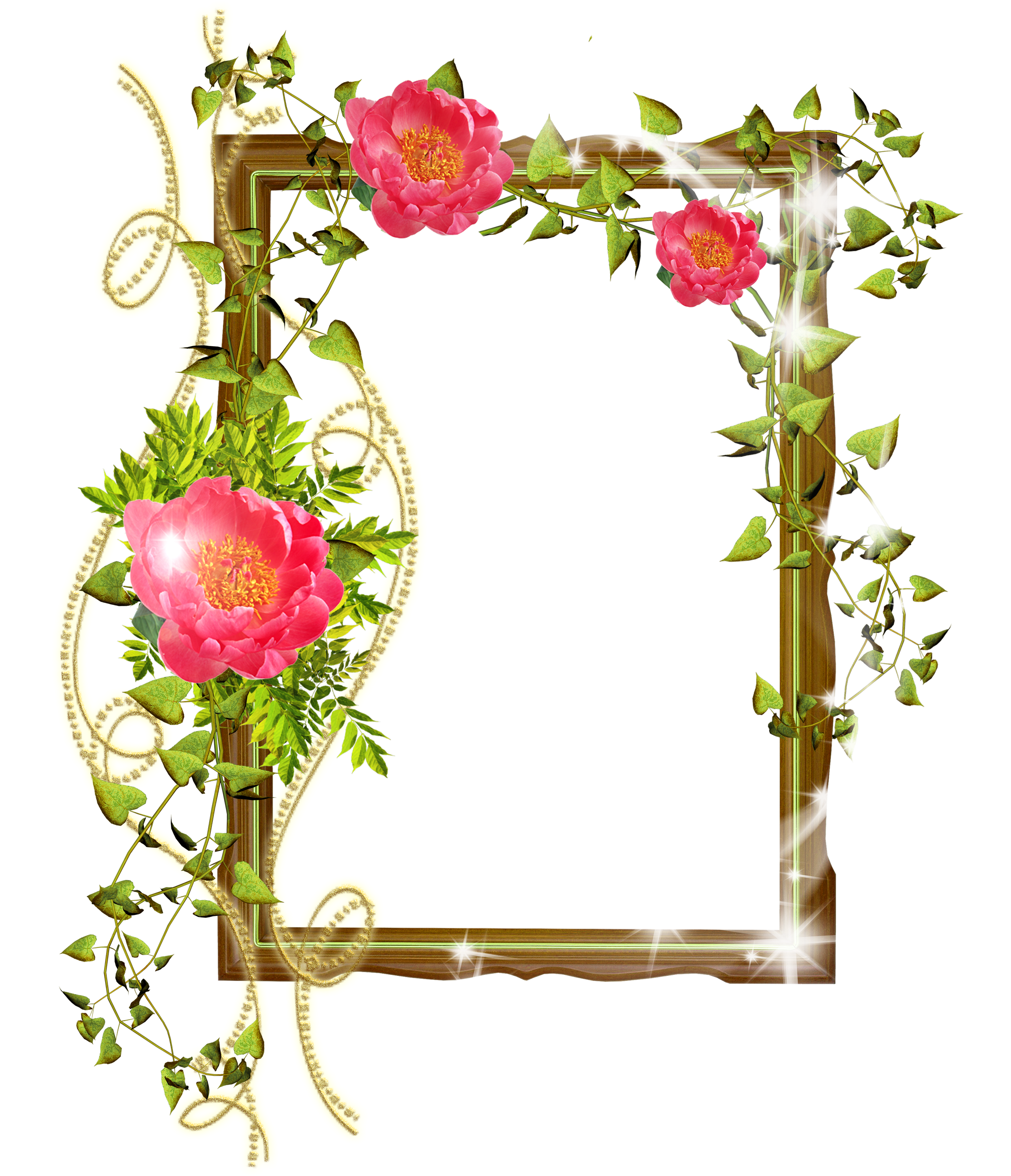 Shining Transparent With Flowers - Windows Flower Photo Frame (2480x2480), Png Download