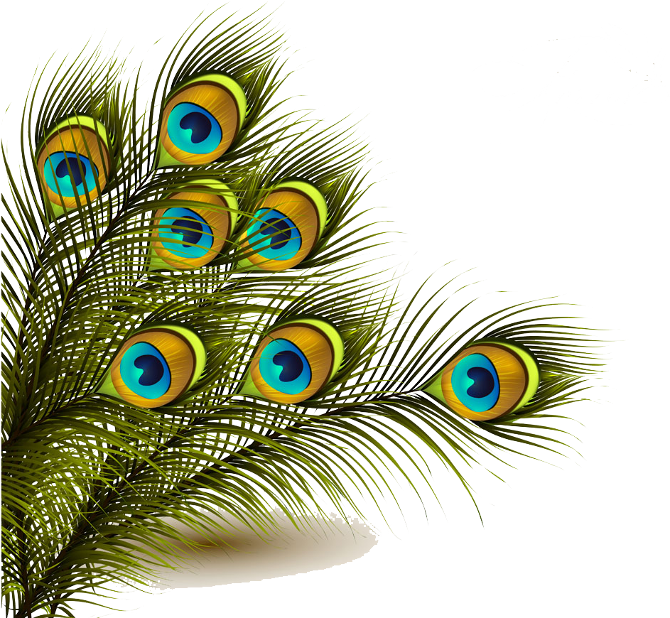 Peafowl Feather Clip Art - Peacock Feather Transparent Png (1000x870), Png Download