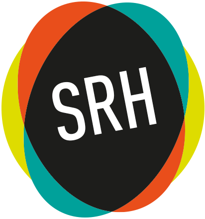 Special Request Horns Logo-responsive Special Request - The Special Request Horns (412x440), Png Download