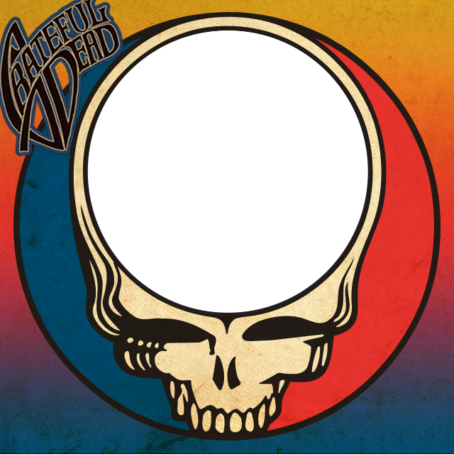 Steal Your Face - Grateful Dead Steal Your Face Blank (640x640), Png Download