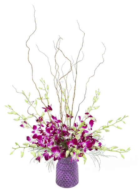 Orchid Beauty Purple, Small - Purple (500x611), Png Download