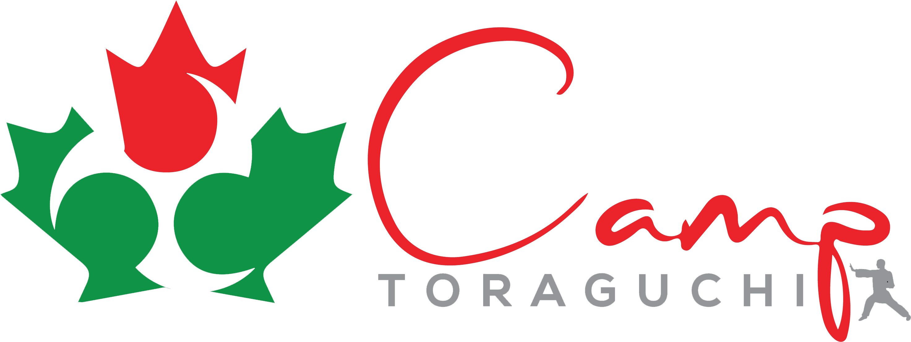 Ct Transparent Background - Vlag Canada (3042x1225), Png Download