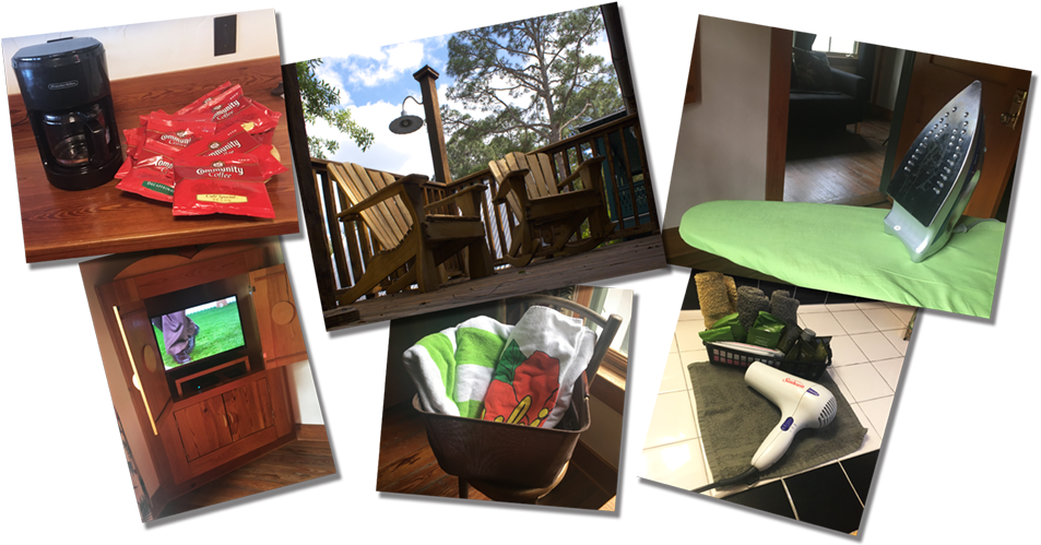 In - Bird (1069x535), Png Download