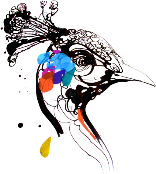 Peacock - Stina Persson (700x700), Png Download