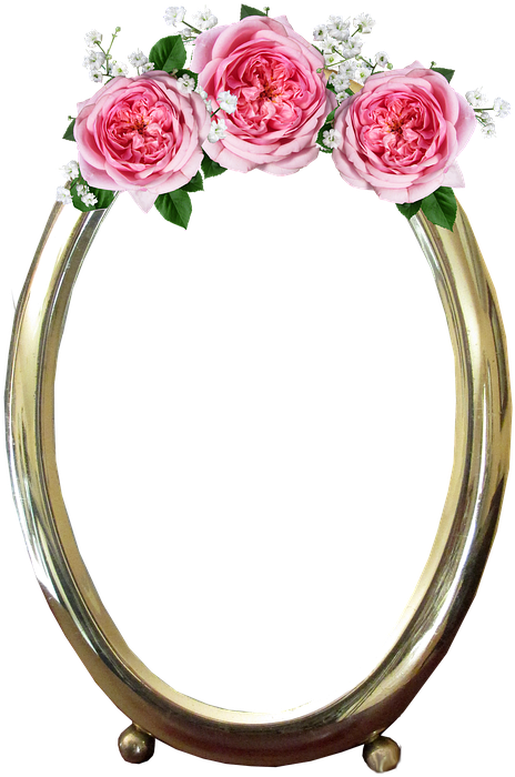 Free Photo Decoration Frame Pink Roses Gold Max Pixel - Gold Flower Hd Png Frames (506x720), Png Download