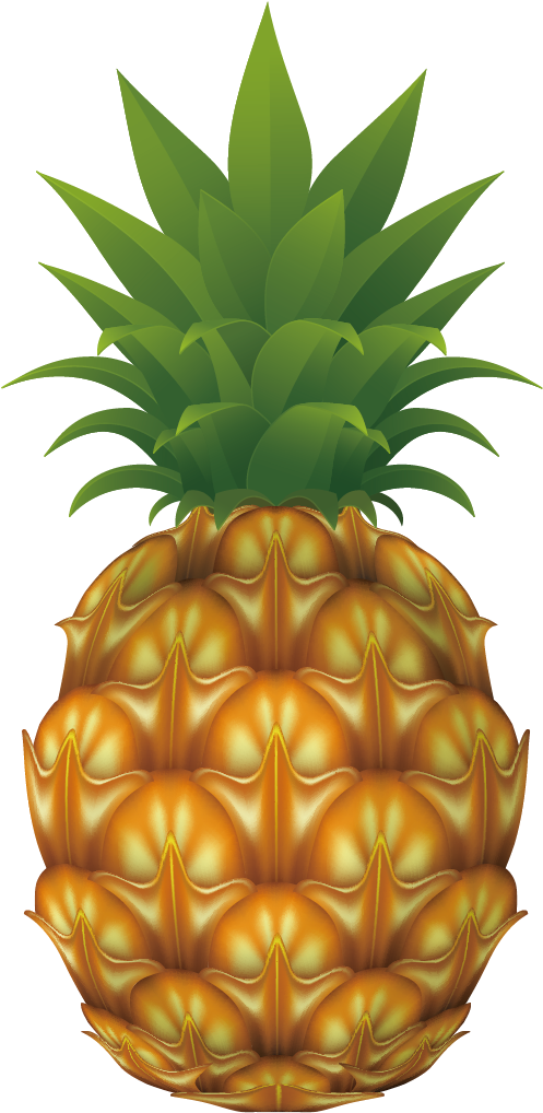 Pineapple Drawing Clip Art - Pineapple Vector (1240x1170), Png Download