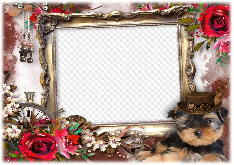 Romantic Photo Frame - Picture Frame (800x566), Png Download