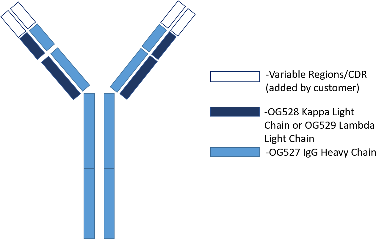 Oxford Genetics Recommends The Use Of Hek293 Or Cho - Igg (1296x803), Png Download