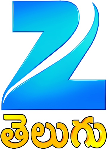 The Road To Success Is Never Easy - Zee Telugu Channel Logo (828x552), Png Download