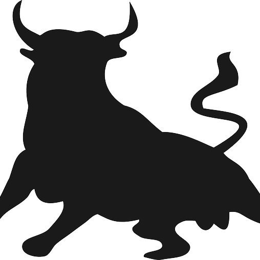 Spanish Private Equity Firm Black Toro Capital Has - Silueta De Toro Bravo (508x508), Png Download