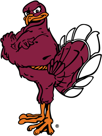 Hokiebird In Color With Registered Trademark Symbol - Hokie Bird (800x800), Png Download