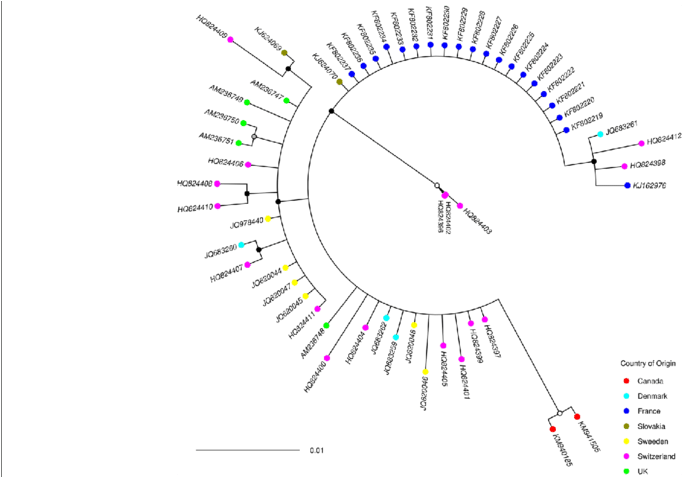 Bayesian Posterior Probability Node Support Values - Neighbor Joining (850x476), Png Download