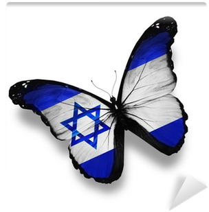 Israeli Flag Butterfly, Isolated On White Wall Mural - 以色列菁英創新奇蹟 [book] (400x400), Png Download