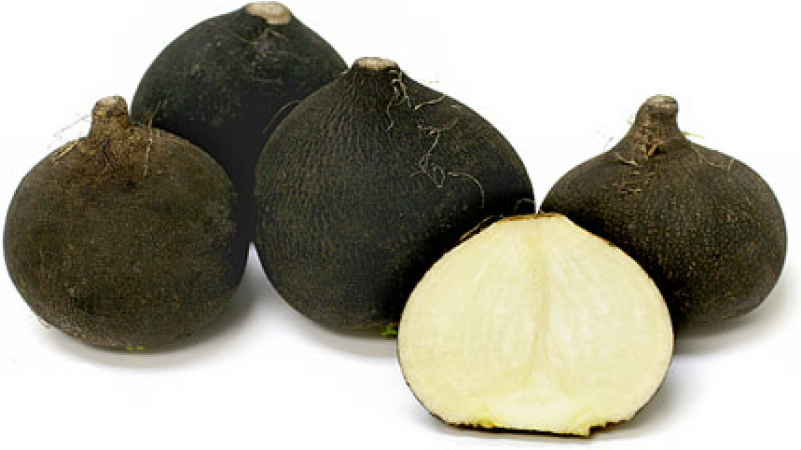 Radish - Black Spanish Round Og (800x800), Png Download
