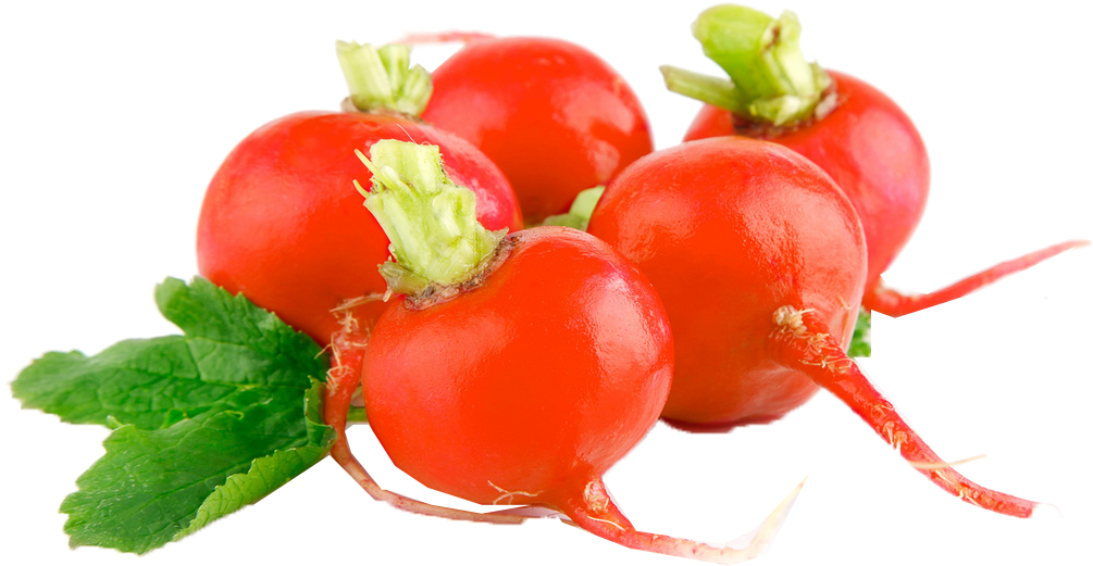 Radish Png Royalty-free Image - Vegetable (1085x712), Png Download