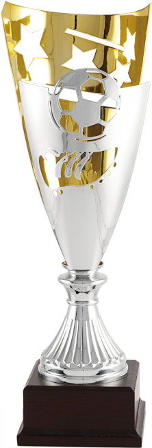 Copa Futbol Png - Trofeo Copas De Futbol Png (457x652), Png Download