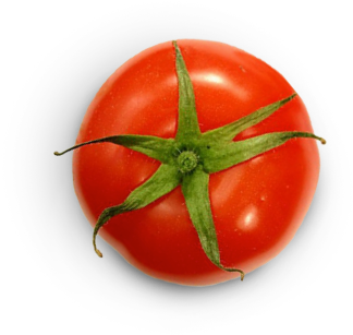 Chihuahuas Michelada - Michelada (359x342), Png Download