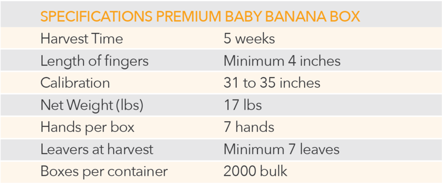 Cuadros-03 - Portable Network Graphics (1000x432), Png Download