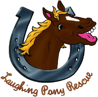 The Name Of This Rescue Can't Help But Bring A Smile - Smiley Face (419x388), Png Download